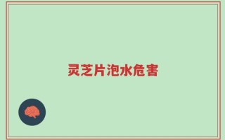 灵芝片泡水危害