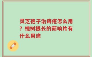 灵芝孢子治痔疮怎么用？槐树根长的茹响片有什么用途