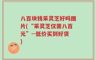 八百块钱采灵芝好吗图片(“采灵芝仅需八百元”--低价买到好货)