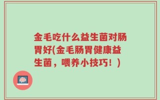 金毛吃什么益生菌对肠胃好(金毛肠胃健康益生菌，喂养小技巧！)