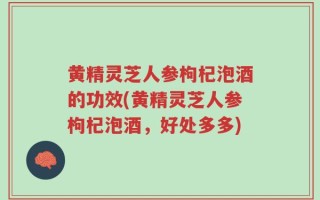 黄精灵芝人参枸杞泡酒的功效(黄精灵芝人参枸杞泡酒，好处多多)