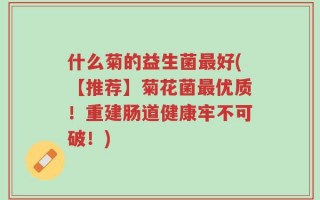 什么菊的益生菌最好(【推荐】菊花菌最优质！重建肠道健康牢不可破！)