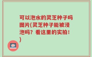 可以泡水的灵芝种子吗图片(灵芝种子能被浸泡吗？看这里的实拍！)