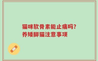 猫咪软骨素能止痛吗？养矮脚猫注意事项