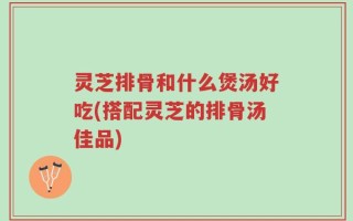 灵芝排骨和什么煲汤好吃(搭配灵芝的排骨汤佳品)