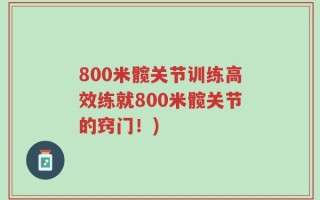 800米髋关节训练高效练就800米髋关节的窍门！)