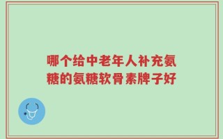 哪个给中老年人补充氨糖的氨糖软骨素牌子好