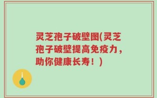 灵芝孢子破壁图(灵芝孢子破壁提高免疫力，助你健康长寿！)