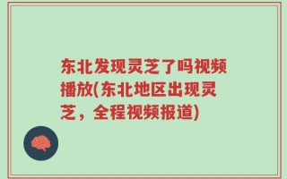 东北发现灵芝了吗视频播放(东北地区出现灵芝，全程视频报道)