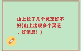 山上长了几个灵芝好不好(山上出现多个灵芝，好消息！)