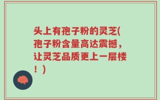 头上有孢子粉的灵芝(孢子粉含量高达震撼，让灵芝品质更上一层楼！)