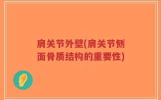 肩关节外壁(肩关节侧面骨质结构的重要性)