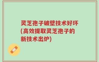 灵芝孢子破壁技术好坏(高效提取灵芝孢子的新技术出炉)