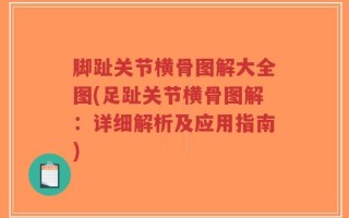 脚趾关节横骨图解大全图(足趾关节横骨图解：详细解析及应用指南)