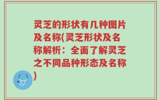 灵芝的形状有几种图片及名称(灵芝形状及名称解析：全面了解灵芝之不同品种形态及名称)