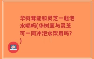 华树茸能和灵芝一起泡水喝吗(华树茸与灵芝可一同冲泡水饮用吗？)