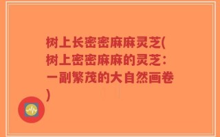 树上长密密麻麻灵芝(树上密密麻麻的灵芝：一副繁茂的大自然画卷)