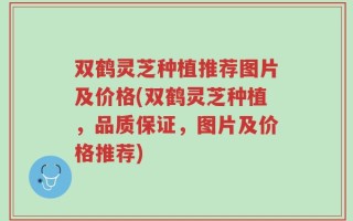 双鹤灵芝种植推荐图片及价格(双鹤灵芝种植，品质保证，图片及价格推荐)