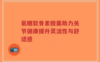 氨糖软骨素胶囊助力关节健康提升灵活性与舒适感