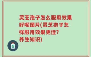 灵芝孢子怎么服用效果好呢图片(灵芝孢子怎样服用效果更佳？  养生知识)