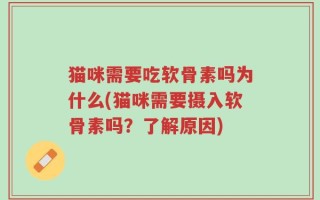 猫咪需要吃软骨素吗为什么(猫咪需要摄入软骨素吗？了解原因)