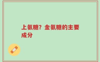 上氨糖？金氨糖的主要成分