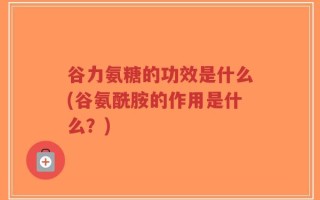 谷力氨糖的功效是什么(谷氨酰胺的作用是什么？)