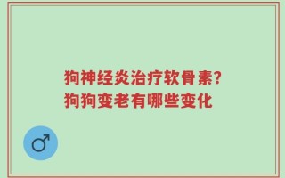 狗神经炎治疗软骨素？狗狗变老有哪些变化