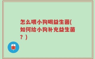 怎么喂小狗喝益生菌(如何给小狗补充益生菌？)