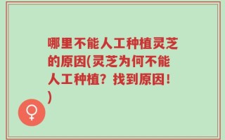 哪里不能人工种植灵芝的原因(灵芝为何不能人工种植？找到原因！)