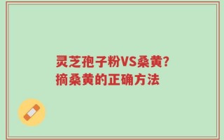 灵芝孢子粉VS桑黄？摘桑黄的正确方法