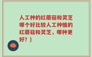 人工种的红蘑菇和灵芝哪个好比较人工种植的红蘑菇和灵芝，哪种更好？)
