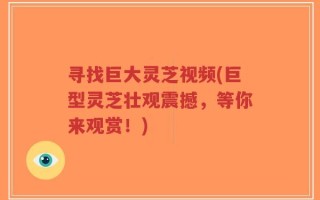 寻找巨大灵芝视频(巨型灵芝壮观震撼，等你来观赏！)