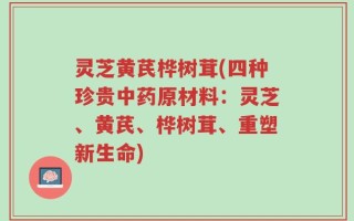 灵芝黄芪桦树茸(四种珍贵中药原材料：灵芝、黄芪、桦树茸、重塑新生命)