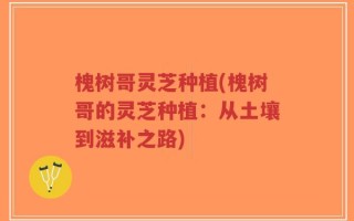 槐树哥灵芝种植(槐树哥的灵芝种植：从土壤到滋补之路)
