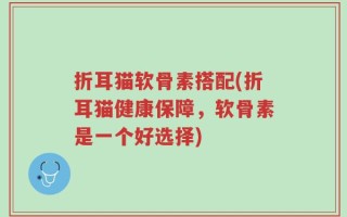折耳猫软骨素搭配(折耳猫健康保障，软骨素是一个好选择)