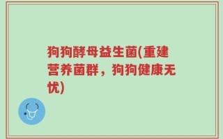 狗狗酵母益生菌(重建营养菌群，狗狗健康无忧)