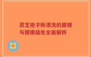 灵芝孢子粉漂洗的原理与健康益处全面解析