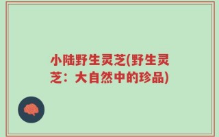 小陆野生灵芝(野生灵芝：大自然中的珍品)
