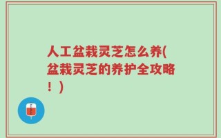 人工盆栽灵芝怎么养(盆栽灵芝的养护全攻略！)