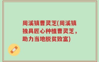 周溪镇曹灵芝(周溪镇独具匠心种植曹灵芝，助力当地脱贫致富)