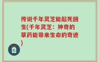 传说千年灵芝能起死回生(千年灵芝：神奇的草药能带来生命的奇迹)