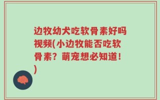 边牧幼犬吃软骨素好吗视频(小边牧能否吃软骨素？萌宠想必知道！)