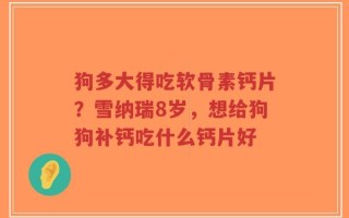 狗多大得吃软骨素钙片？雪纳瑞8岁，想给狗狗补钙吃什么钙片好