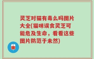 灵芝对猫有毒么吗图片大全(猫咪误食灵芝可能危及生命，看看这些图片防范于未然)
