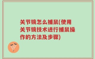 关节镜怎么捕鼠(使用关节镜技术进行捕鼠操作的方法及步骤)