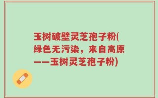 玉树破壁灵芝孢子粉(绿色无污染，来自高原——玉树灵芝孢子粉)