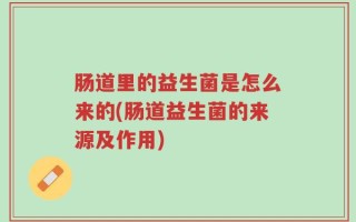 肠道里的益生菌是怎么来的(肠道益生菌的来源及作用)