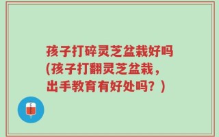 孩子打碎灵芝盆栽好吗(孩子打翻灵芝盆栽，出手教育有好处吗？)