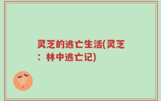 灵芝的逃亡生活(灵芝：林中逃亡记)